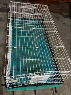 Guinea Habitat Plus 171ghp cage Guinea pig