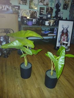 Faux Plants 