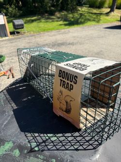 Animal Rodent Trap