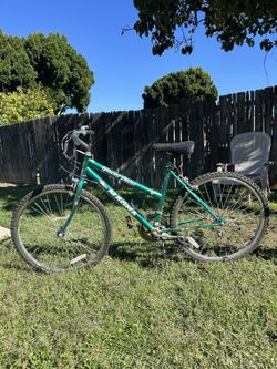 2 Bikes