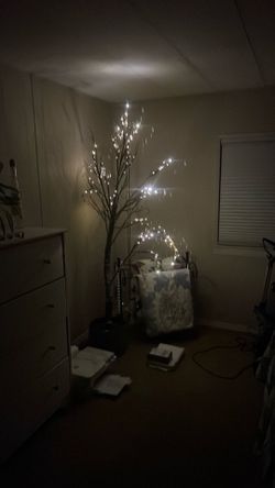 Tree with lights