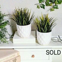 2piece Set Artificial Plants in Vases made of Real Ceramic, 8"x5"each , CASH ONLY, PICKUP ONLY -home decor, fake plants, faux plants, flowers 