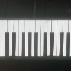 Play N Roll Piano