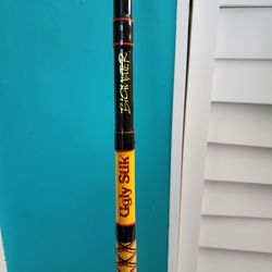 Ugly stik bigwater