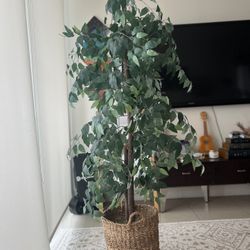 Faux Ficus Tree in Basket