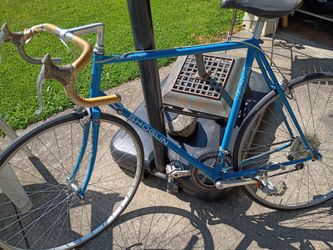 Bike"1980's shogun selectra)