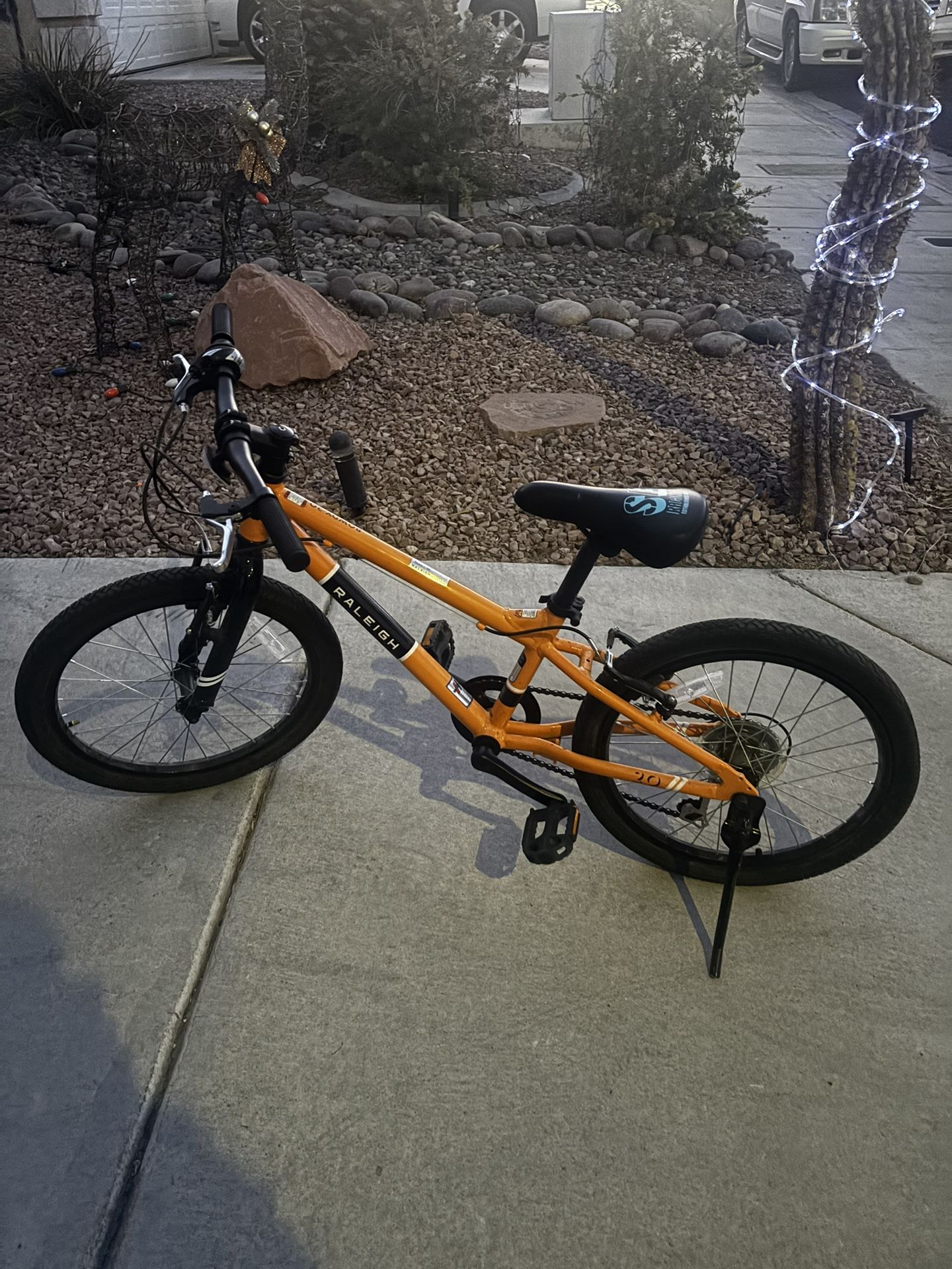 Raleigh Rowdy 20 Kids Bike1