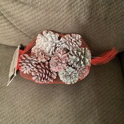 Brand New Frosted and Glitter Pinecones