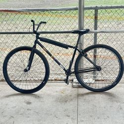 STOLEN MAX 29ER
