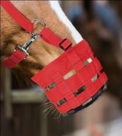 Horse grazing muzzle med