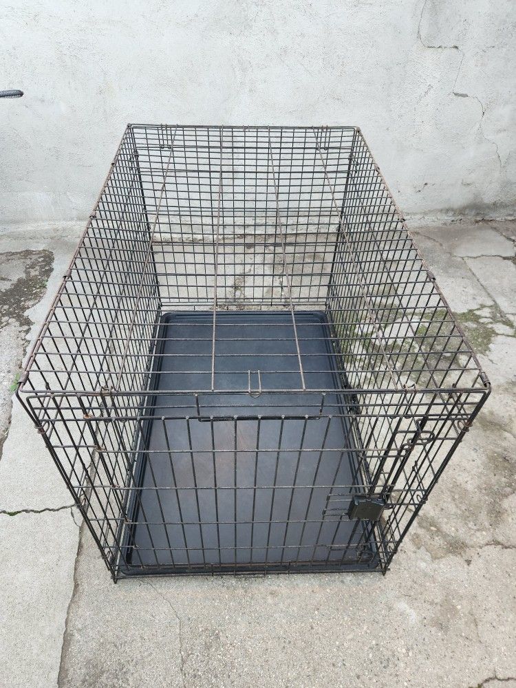 Dog Crate