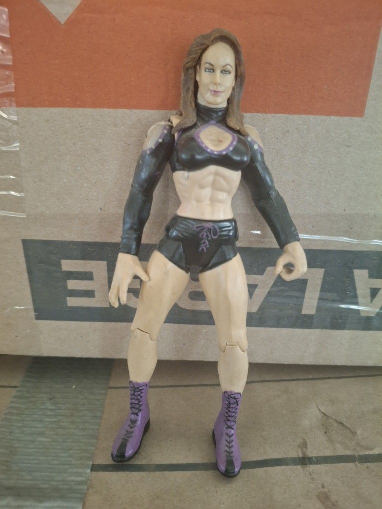 WWE Wrestling