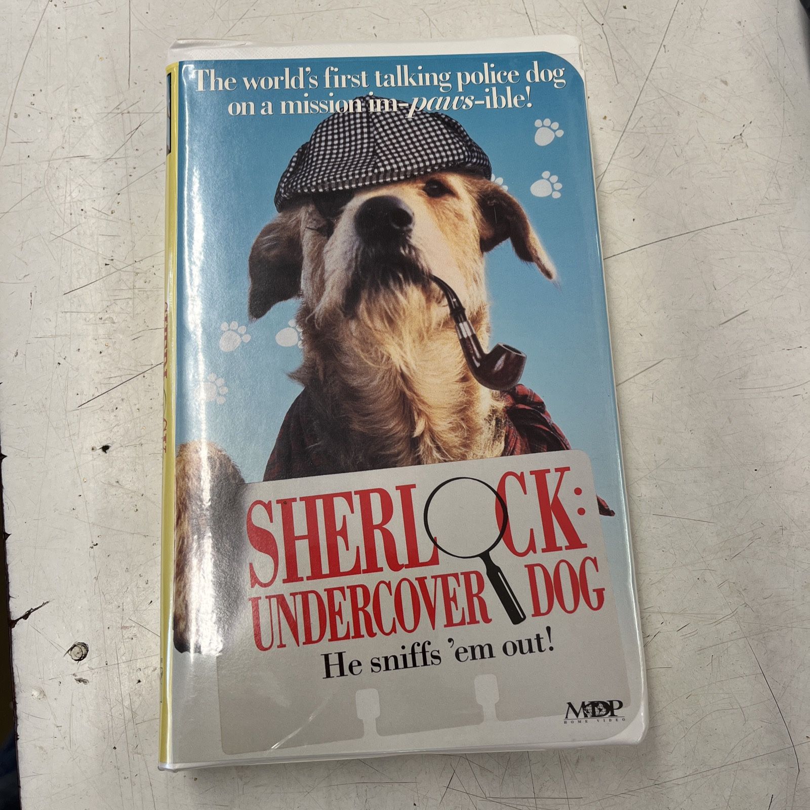 Sherlock Undercover Dog