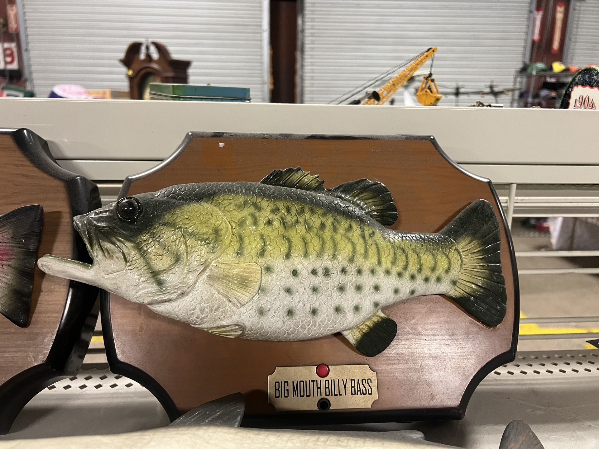 Billy The Fish Mount