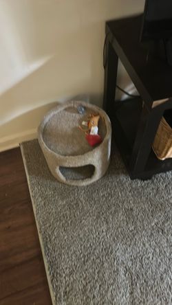Cat condo