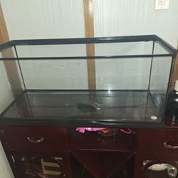 20gal Reptile Tank With Everything You See Plus 2 Mats 
