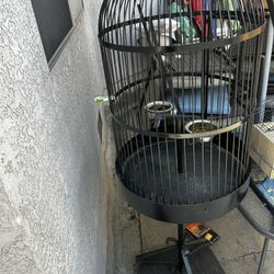 Bird Cage
