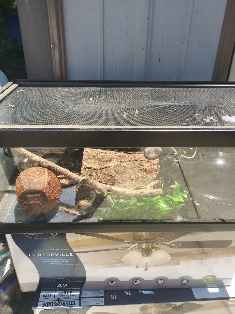 Reptile tank