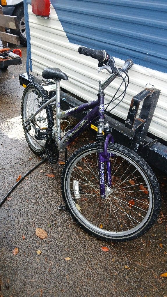 Roadmaster Mountain Bike