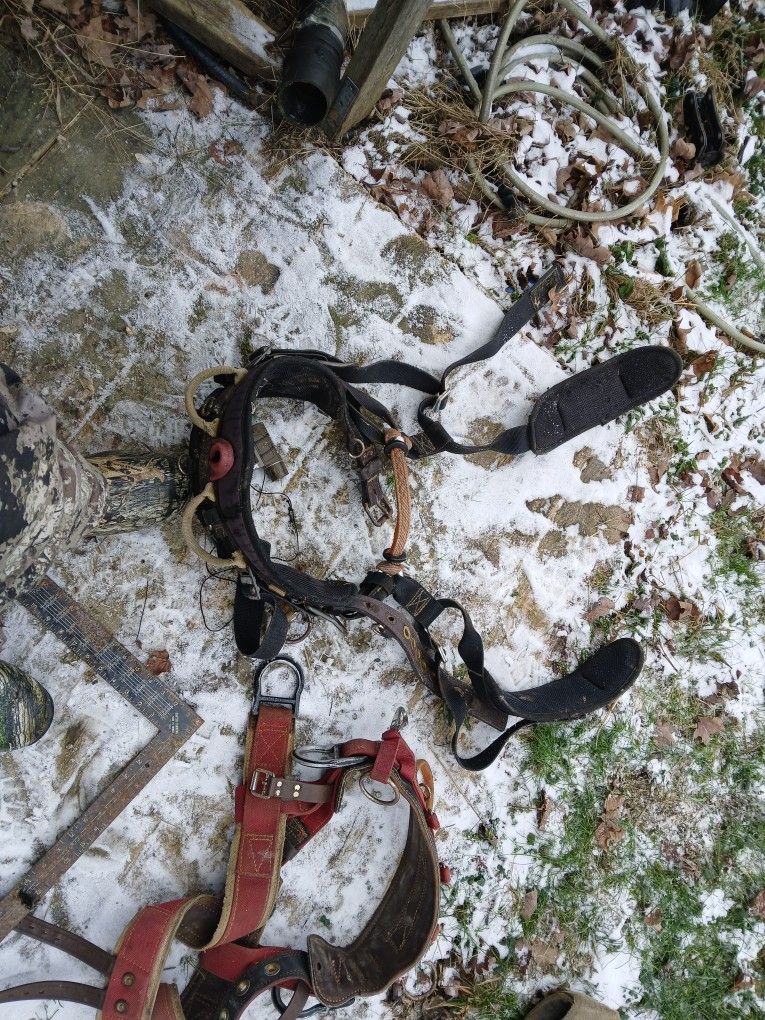 Tree Climbing Equipment