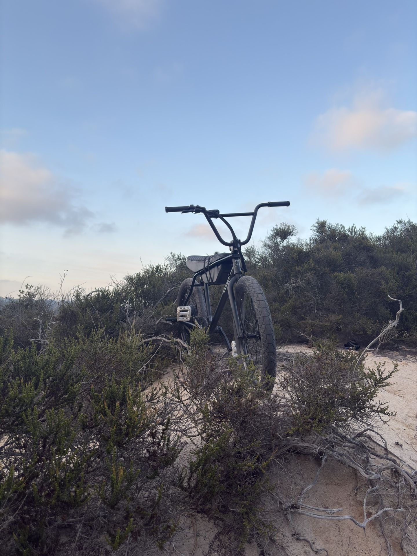 Zooz E-bike 