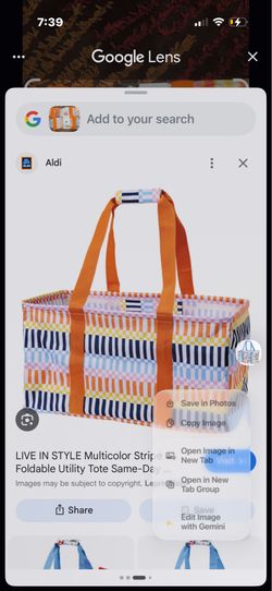 2 foldable utility tote