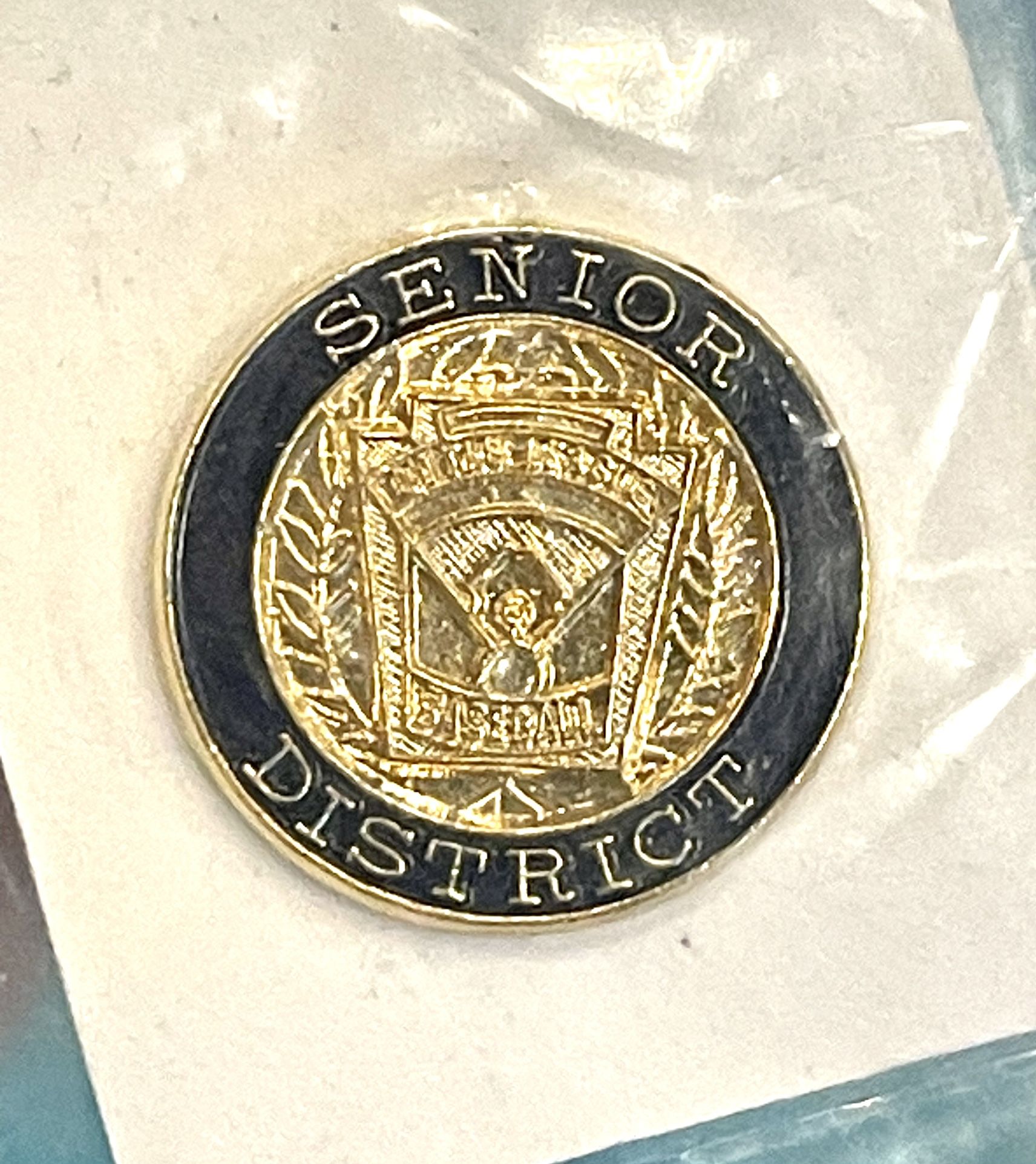 New Senior Little League Pin