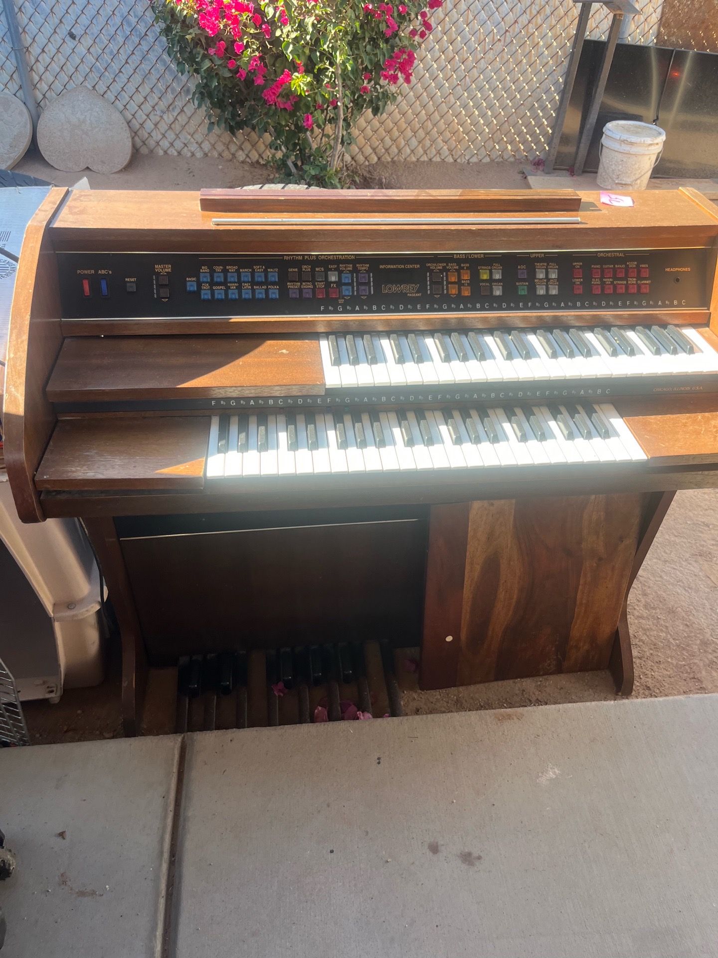 Organ