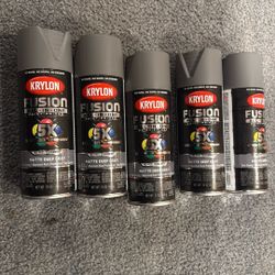 Gray Spray Paint