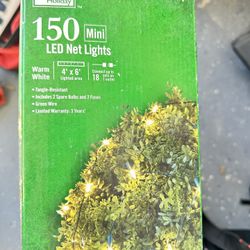 Bush Christmas Lights 