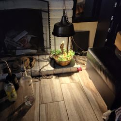 Old School Rain Lamo