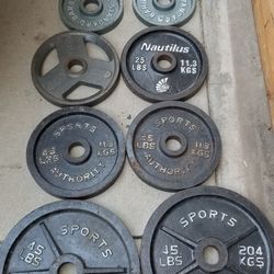 Plates  Weihgts