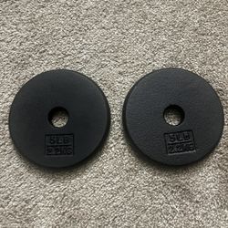 10 LB plates 