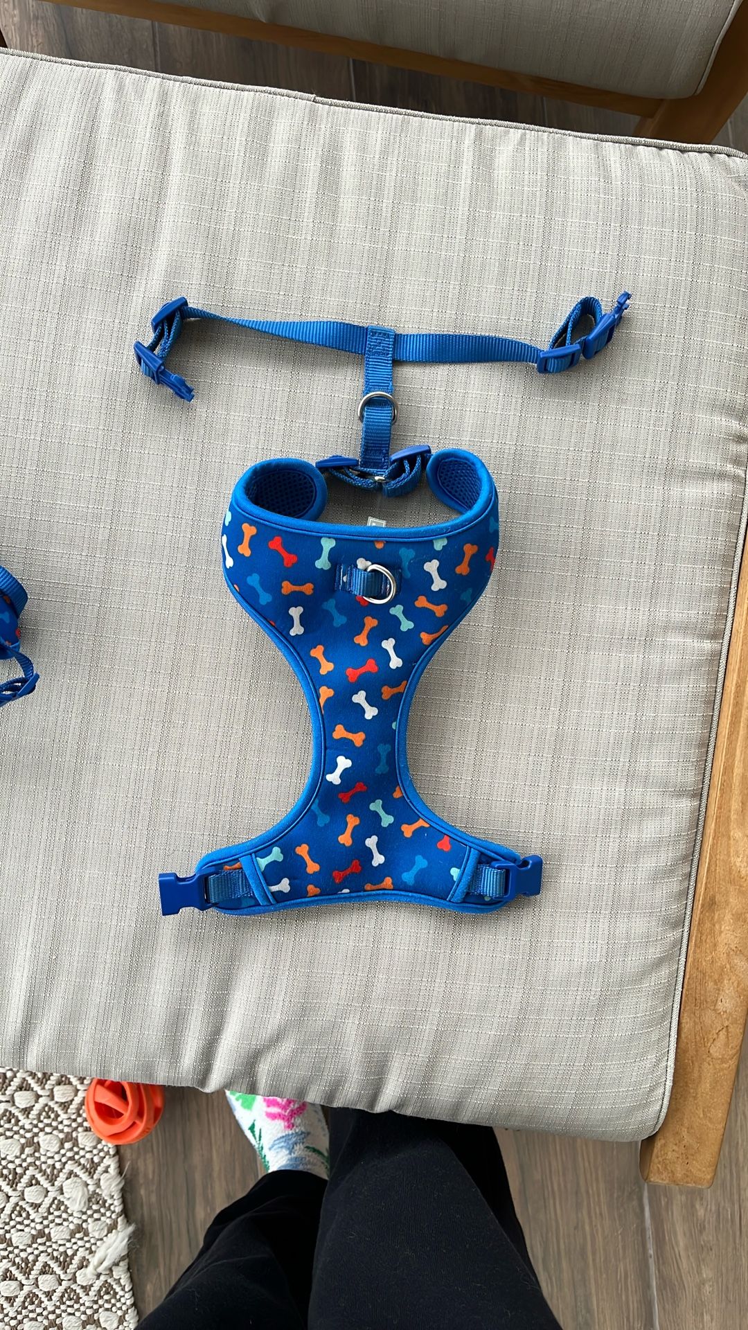 Small Dog Harness