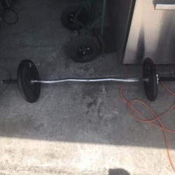  Curl Bar With Weights 