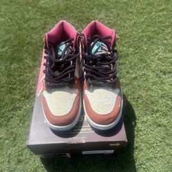 Sb Dunk Size 12