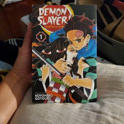 Demon Slayer Manga Series 