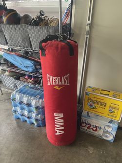 Everlast Punching Bag