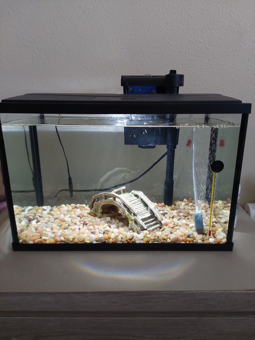 Fish Tank