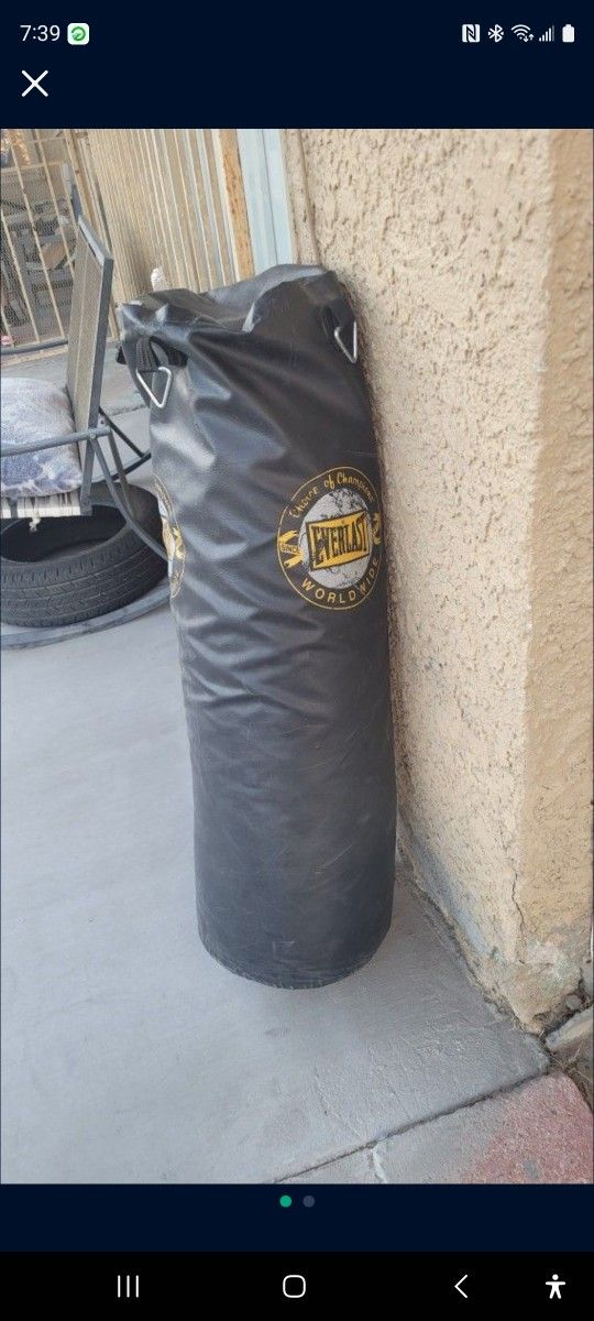 Punching Bag
