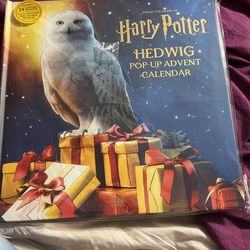 Harry Potter Pop-Up Advent Calendar