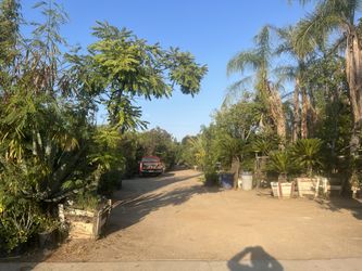 Selling a nursery (contact info removed)