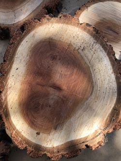 Wood stumps