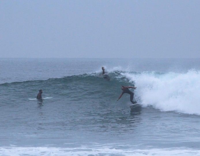 Surfboard Longboard Sale Longboards Surfboards 