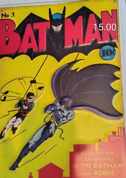 Batman and Robin  Metal Decorative picture
