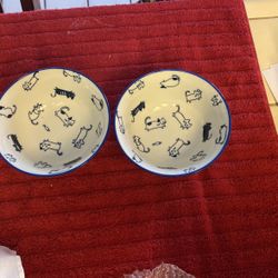 Bowls With Cats