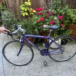 Specialized Dolce Road Bike 
