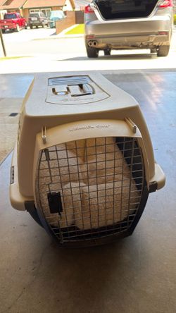 Dog or cat create in great condition