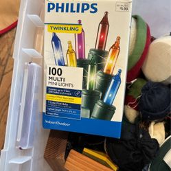 100 Count Mini Christmas Lights