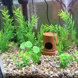 Aquarium hide